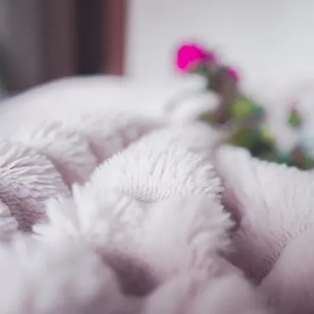 Guest Haus Гостевой дом